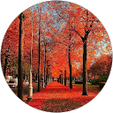 Ketarit Entertainment profielfoto